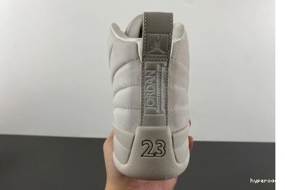 Hyperoad Air Jordan 12 